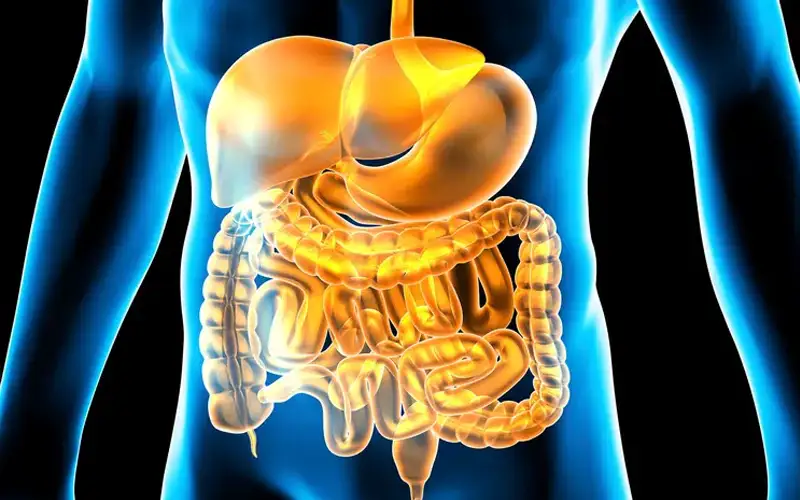 تأثیر عسل طبیعی بر دستگاه گوارش و بهبود یبوست